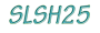 Logo SLSH25